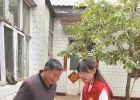 选调生郑茹萍：听，老槐树下有我的故事