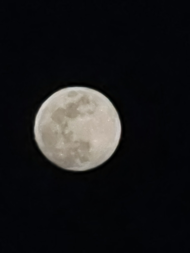 IMG_20240124_180523.jpg