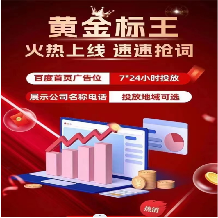 百度左侧首页固定排名包年1.png