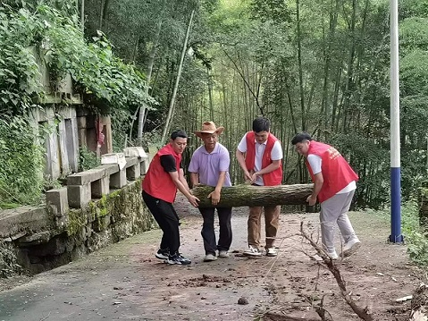 兴柳村副支部书记朱习文带领乡党员干部清理关安培家因暴雨倒塌的大树