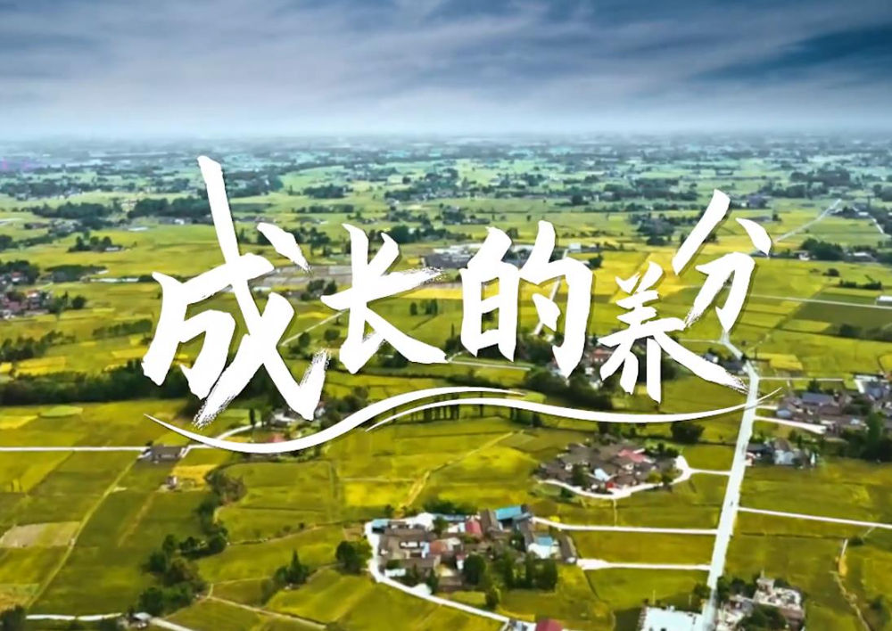选调生《成长的养分》