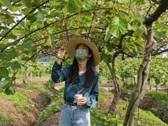 选调生王怡鹤: 一位乡村“多面手”的成长