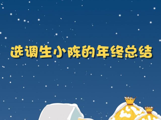选调生小陈的年终总结