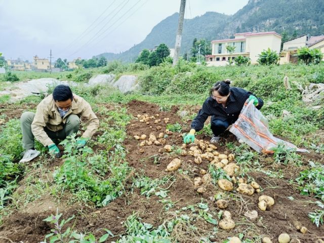 选调生蒋炎廷：离泥土越近越安心