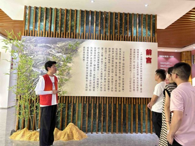 选调生吴军君：我是村里的“宣传大使”