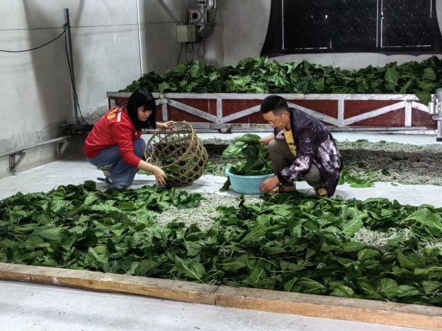 选调生岳梦：从“接力跑”看初心传承