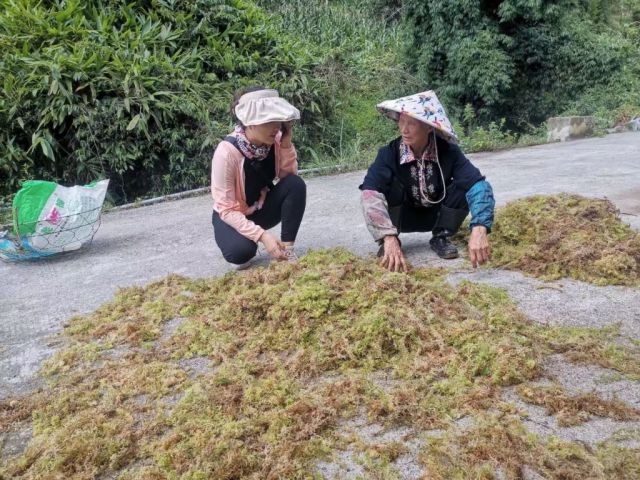 选调生李元成：看得见群众，守得住初心