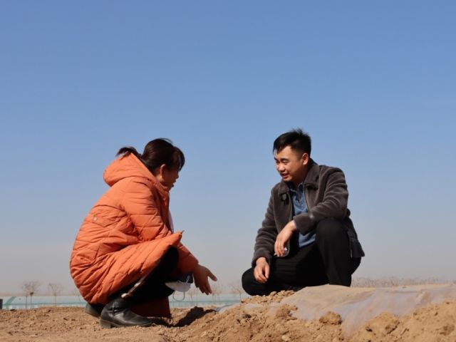 选调生齐海坤：博士种土豆 有啥不一样